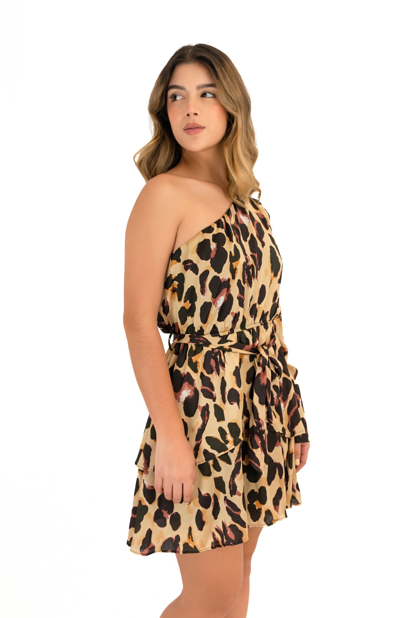 Animal Print Dress